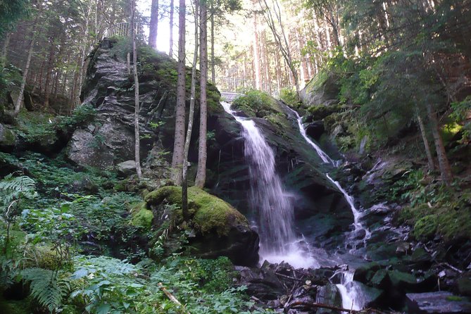 5-Hour Private Alpine Hiking Tour Wild Water at Hochwechsel - Booking and Cancellation Policies