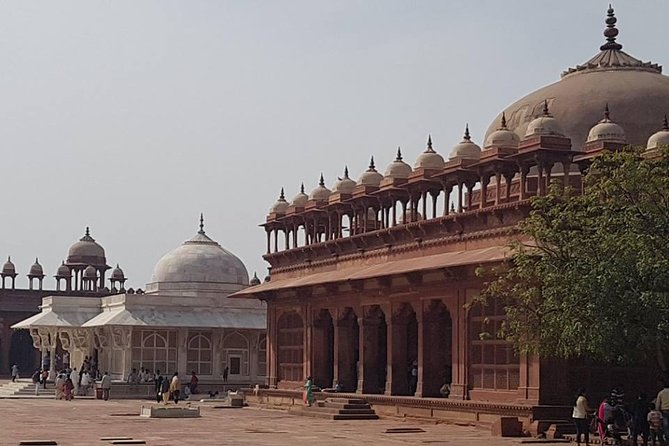 5 Nights 6 Days Extended Golden Triangle Tour (With Mathura & Vrindavan) - Culinary Delights