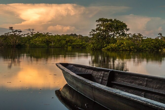 6-Day All Inclusive Private Guided Pacaya Samiria National Reserve From Iquitos - Customer Reviews and Testimonials