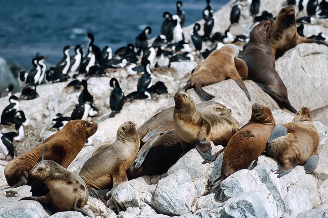 6-Day Best of El Calafate & Ushuaia Tour - Pricing and Booking Options