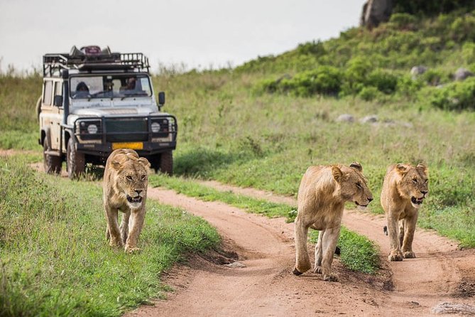 6-Day Best of Tanzania Wildlife Safari- Comfort - Pricing and Guarantee