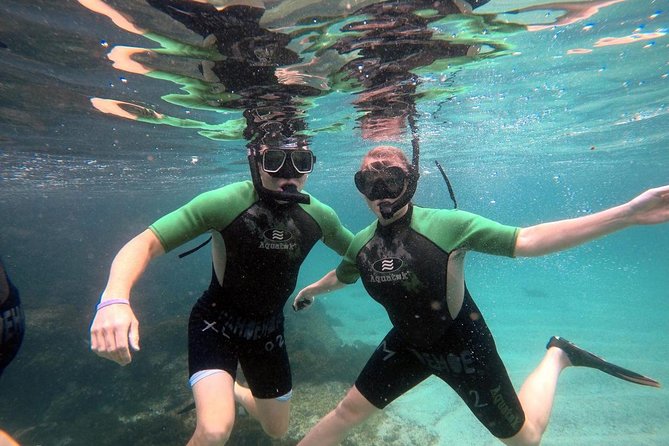 6-Day Galapagos Hotel-Based Tour: Snorkel,Hike,Wildlife in Isabela & Santa Cruz - The Sum Up