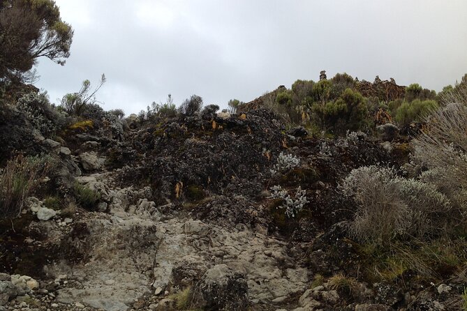 6-Day Mount Kilimanjaro Private Tour via Machame Route - Booking and Reservation Information