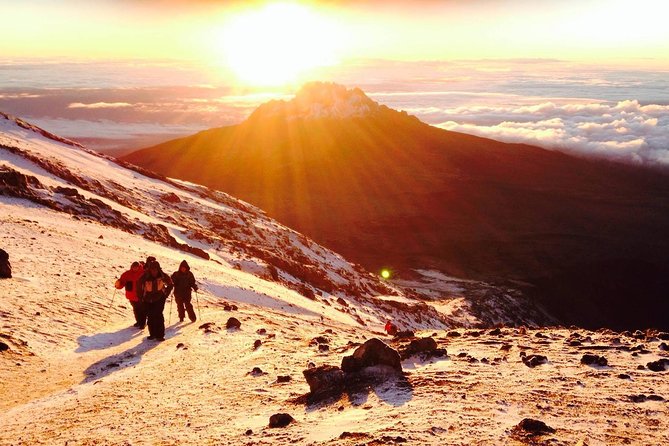 6 Days Kilimanjaro Trek – Umbwe Route - Price and Booking Information