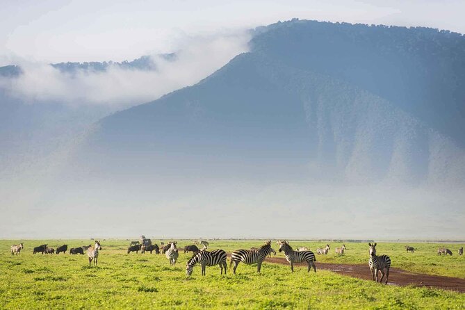 6 Days Masai Mara Serengeti and Ngorongoro on 4x4 Landcruiser - Travel Logistics