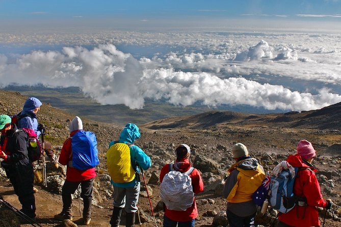 6 Days Mount Kilimanjaro Umbwe Route - Altitude Sickness Prevention Strategies
