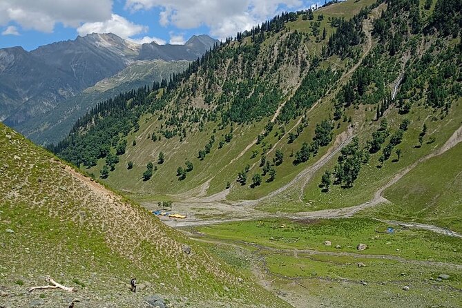 6 Days Private Guided Tour From Kashmir to Delhi - Highlights of the Tour