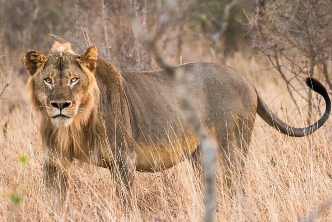 6 Days Private Tour With Two National Parks and More - Cancellation Policy Information