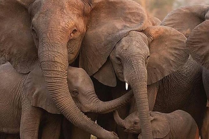 6 Days Tanzania Budget Camping Safari - Booking and Cancellation Policy