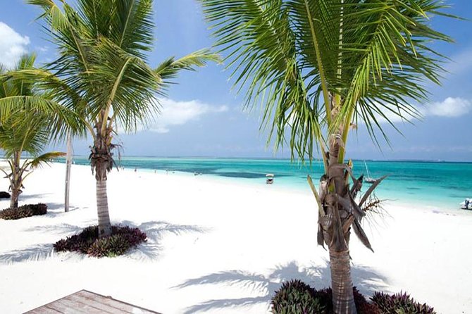 6-Days Zanzibar Holiday Package - Accessibility Information