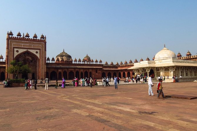 7-Day Private Tour of Delhi, Agra, Jaipur With Tiger Safari and Private Car - The Sum Up