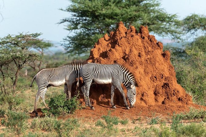 7 Days-Lake Manyara, Olduvai Gorge, Serengeti, Ngorongoro Crater & Tarangire - Logistics and Meeting Points