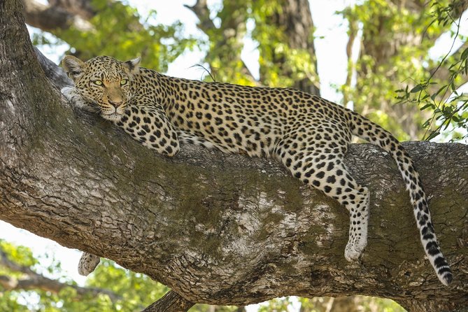 7 Days Naivasha, Nakuru, Masai Mara Mid-luxury Safari - Additional Activities