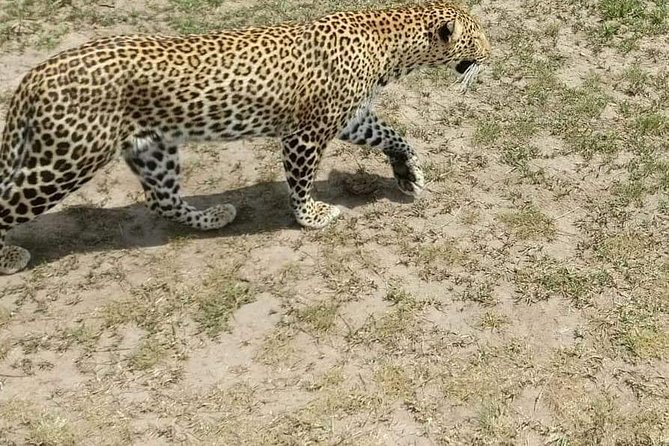 7 Days Salt-Lick Safari - Cancellation and Refund Policy