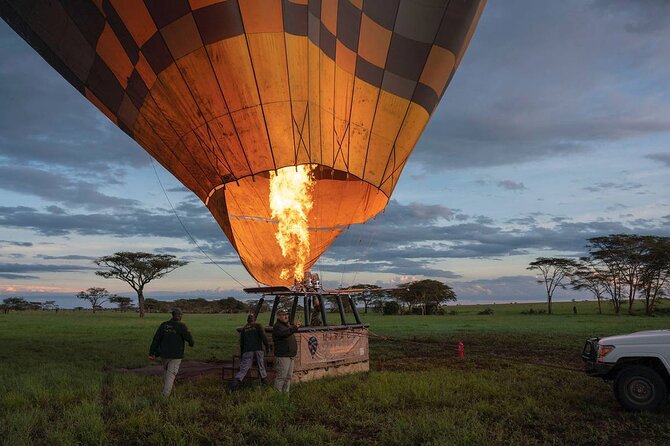 7 Days Simba Luxury Adventure Safari With Transfer - Important Booking Information