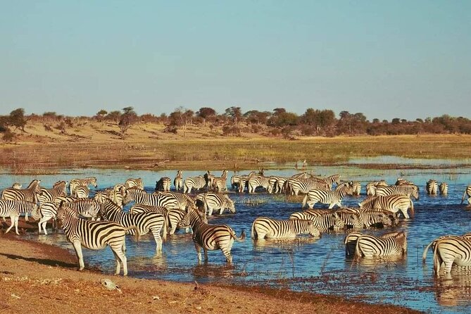 7 Hour Game Drive Trip and Boat Cruise in Chobe National Park - Itinerary Overview