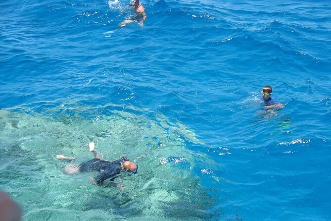 7 Hour Marsa Mubarak Snorkeling Trip With One Intro Dive - Marsa - Accessibility Information