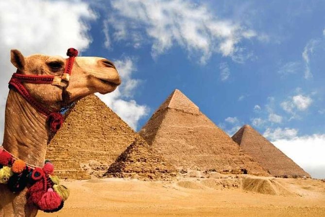 8 Day Egypt Highlights Cairo, Aswan, Nile Cruise, Abu Simbel, Balloon, Camel - Aswan Exploration