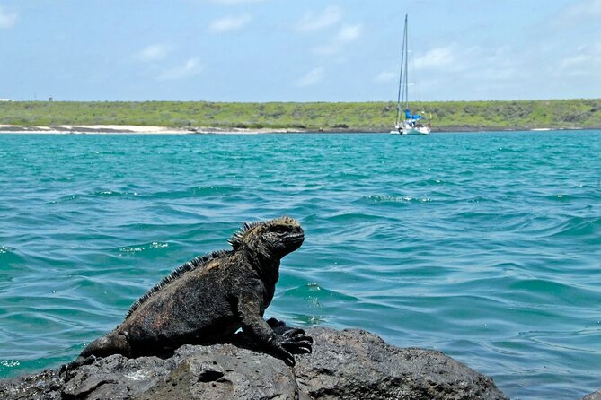 8-Day Galapagos Island Hopping Backpack Style: Los Tuneles and Kicker Rock - Inclusions and Recommendations
