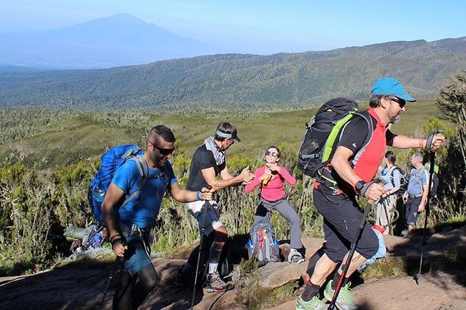 8-Day Private Kilimanjaro Climb via Lemosho Route From Arusha - Health and Fitness Requirements