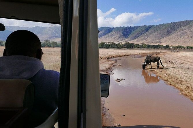 8-Day Private Safari in Kenya and Tanzania Tour - Health and Safety