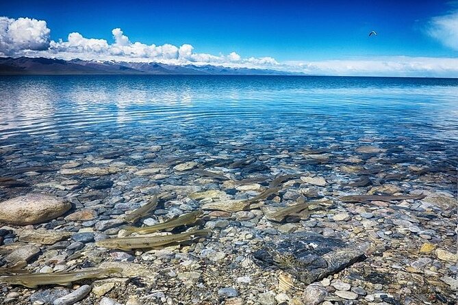 8-Day Small Group Lhasa & Gyantse & Shigatse & Namtso Lake Tour - Start Time and Requirements