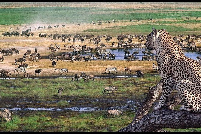 8 Days Budget Camping Tanzania - Meeting and Pickup Details