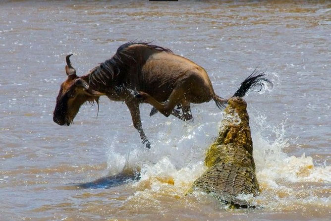 8 Days Kenya and Tanzania Budget Safari - Important Reminders