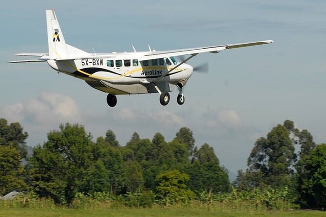 8 Days Kenya Flying Safari Tour With Serena Lodges Accommodation - Pricing and Booking Information
