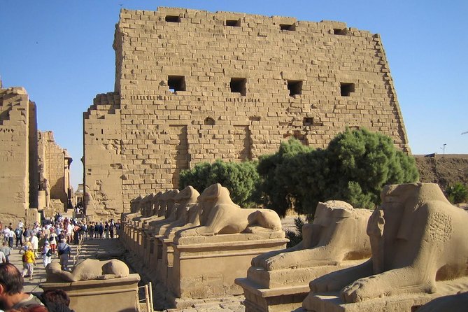 8 Days Luxury Egypt Budget Price,Pyramids,Red Sea,Luxor Tours & Plane From Cairo - Day 3: Travel to Hurghada