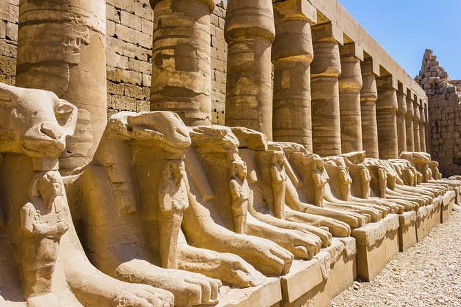 8-Days Luxury Egypt Budget Price,Pyramids,Red Sea,Luxor Tours & Plane From Cairo - Pricing Structure