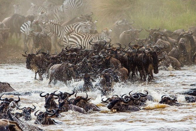 8 Days Masai Mara, Nakuru, Naivasha, Amboseli Budget Safari - Day 5: Amboseli National Park