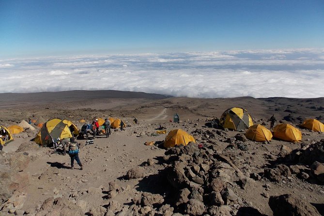 8 Days Mount Kilimanjaro Climbing- Machame Route - Health and Safety