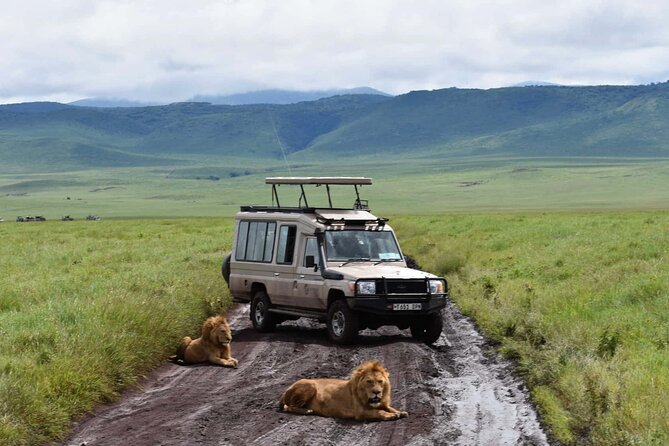 8-Days Private Luxury Safari: Tarangire, Serengeti & Ngorongoro - Items Not Included