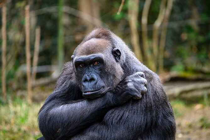 8 Days Private Wildlife Tour in Uganda - Booking and Pricing Details