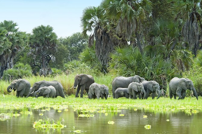 8 Days Tanzania Southern Circuit Safari - Additional Considerations