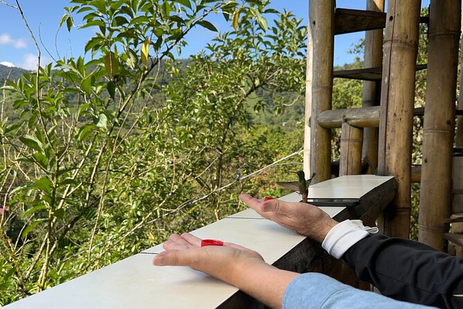 8 Hours Mindo Cloud Forest Tour From Quito Includes Lunch - What to Expect During the Tour