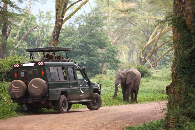 8day Best of Tanzania Wildlife Lodge Safari - Price and Guarantee