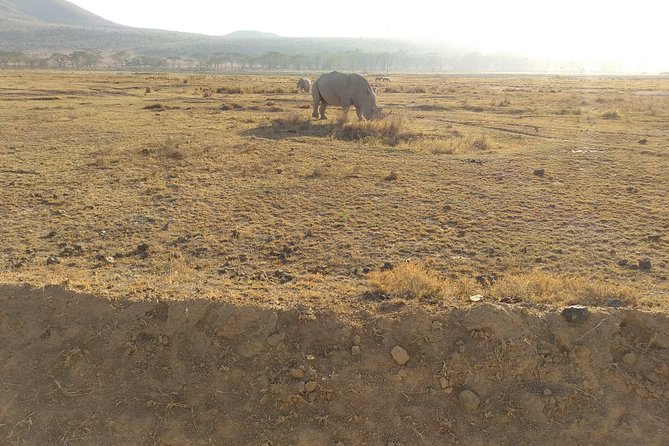9 Days 8 Nights Safari - Weather and Minimum Travelers Conditions