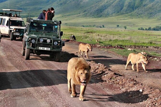 9 Days Best of Kenya Wildlife Safari on a 4WD - Booking Process