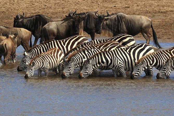 9 Days Best of Kenyan Tented Safari - Cultural Experiences