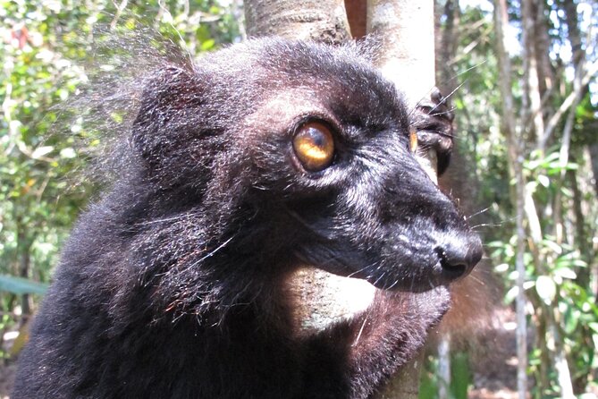9 Days East of Madagascar Tour - Tour Overview