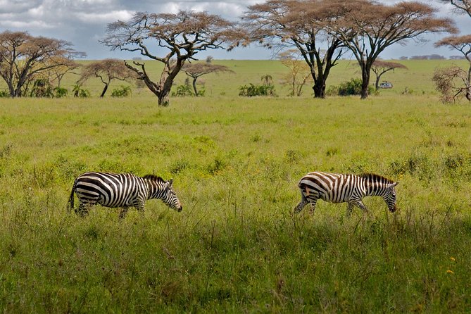 9 Days Kenya Tanzania Safari - Accommodation Options