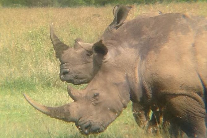 9 Days Rhino Safari - Cancellation Policy