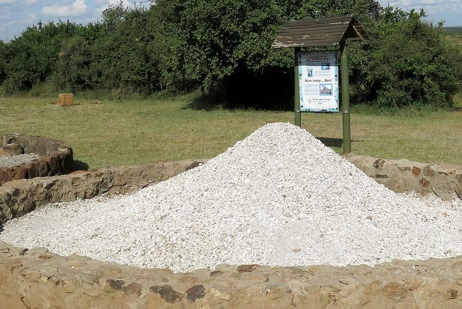 A Day Tour to Nairobi National Park and Giraffe Center - Additional Information