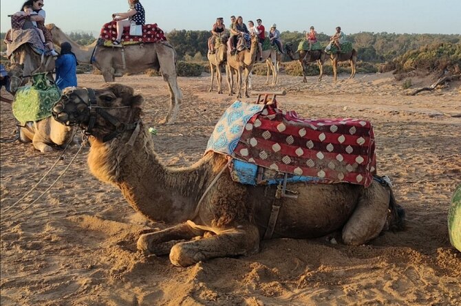 A Full-Day With Camel Riding, Jetski and Quad Biking - Activity Overview