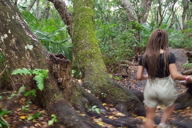 A Half Day Private Tour To Jozani Forest - Tour Expectations and Accessibility