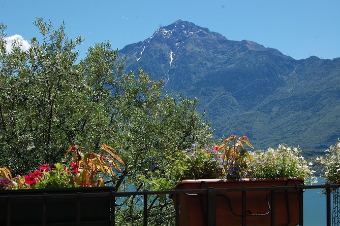 A Panoramic Wine Tasting on Lake Como - Additional Info: Confirmation and Accessibility