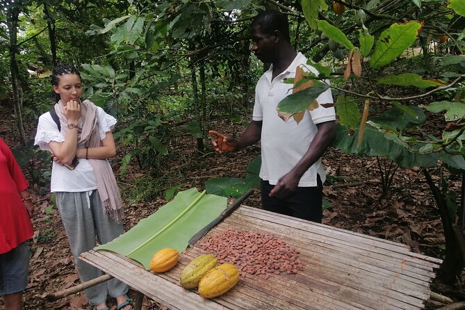 Aburi Botanical Gardens and Cocoa Farm - Private Tour - Expectations and Accessibility