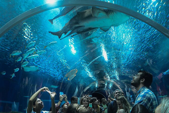 Access Entrance Ticket to AquaRio Aquarium - Including Transport and Ticket - Additional Information
